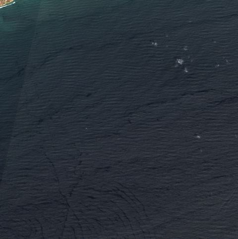 Sentinel-2 crop of Lomé offshore at 6.11°N 1.38°E, captured 19 Oct 2026